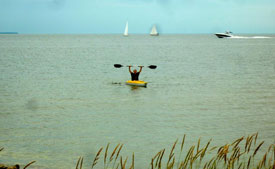 Photo Summer 2012 Wisconsin (Roman M2)